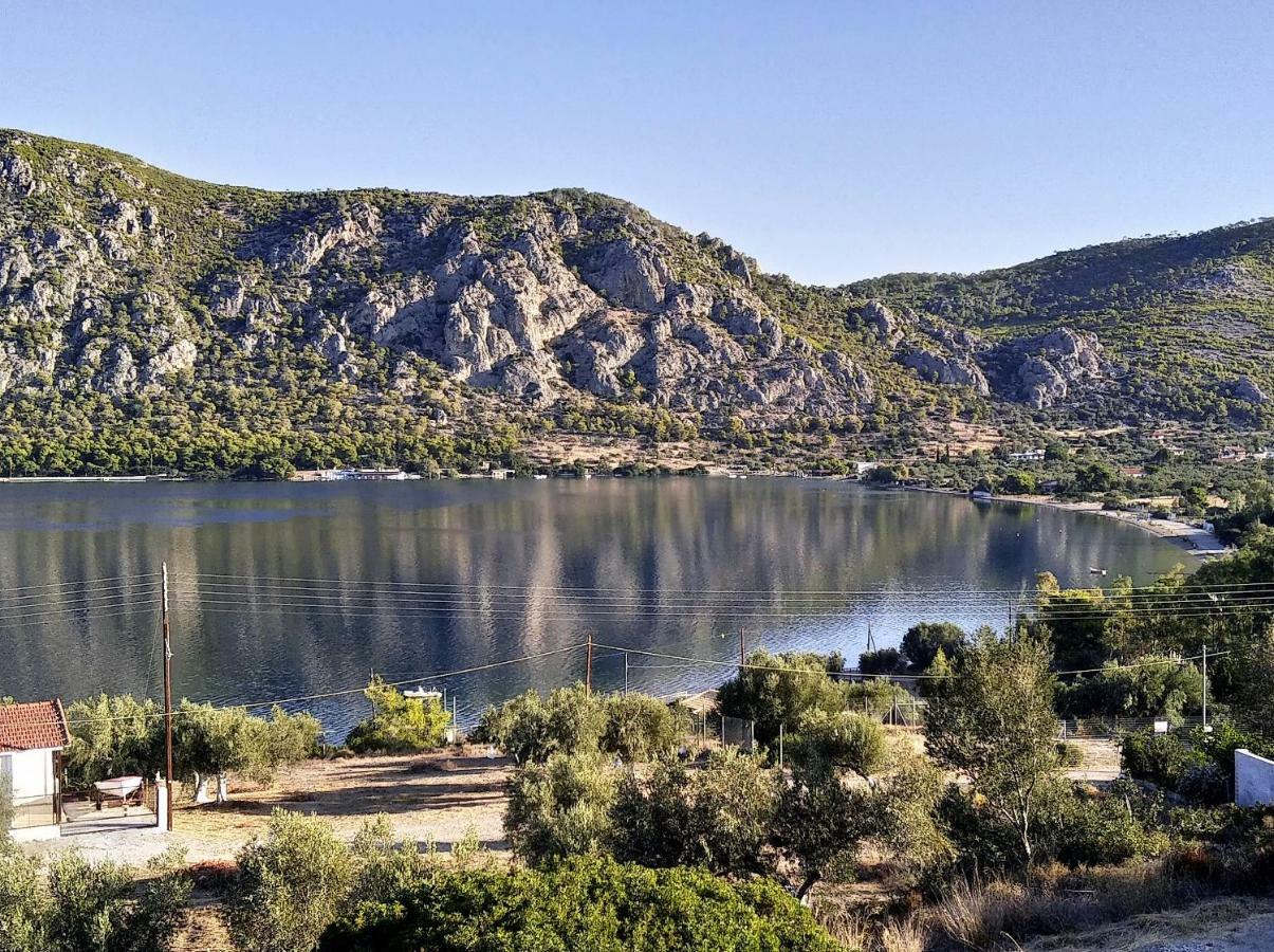 Lagoon Dreamhouse Vouliagmeni Lake Bagian luar foto